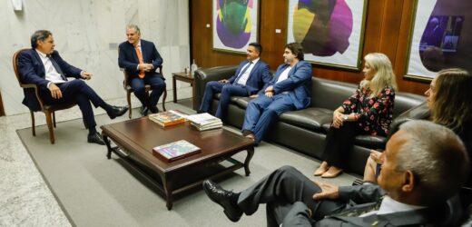 Dr. Luiz Teixeira reúne-se com diplomatas no Itamaraty