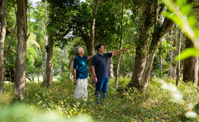 Corredor ecológico garante a preservação de espécies